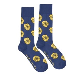 NIMC Blue & Yellow Socks