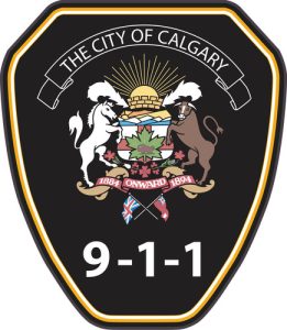 2017-1442_2017-1442 17-00487721 - 9-1-1 Flash Wall Plaque_FP_REV_73396